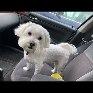 Meet your Posher, Tricia